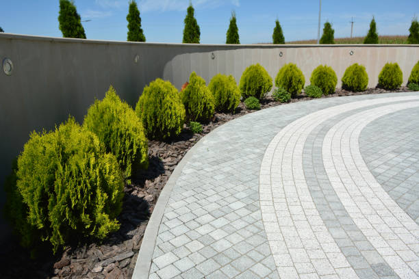 Best Custom Driveway Pavers  in Easton, PA